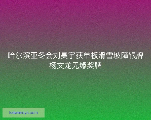 哈尔滨亚冬会刘昊宇获单板滑雪坡障银牌杨文龙无缘奖牌